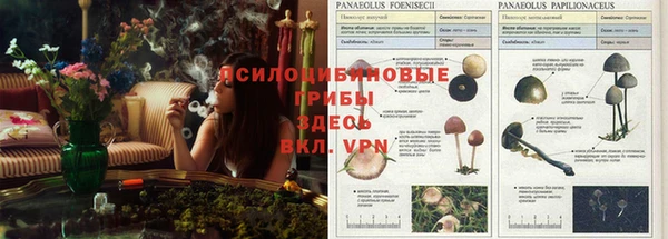 дурь Баксан