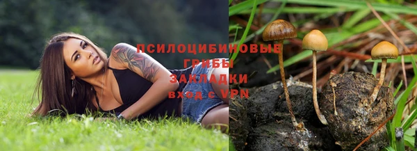 гидропоника Балахна