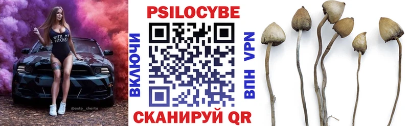 Галлюциногенные грибы MAGIC MUSHROOMS  Котлас 